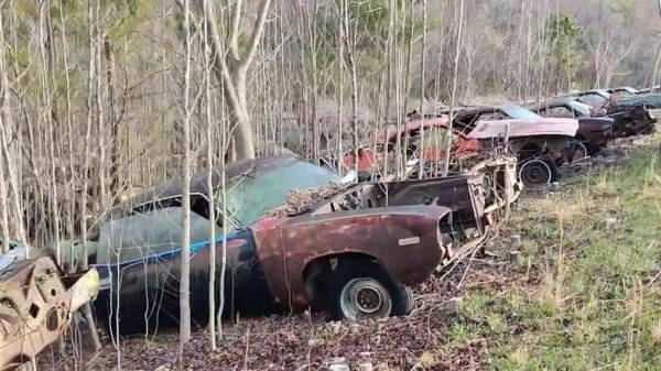 В лесу нашли редкие заброшенные авто: их уже не восстановить