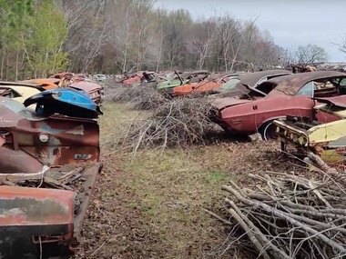 В лесу нашли редкие заброшенные авто: их уже не восстановить
